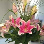 Scented Lily Vase