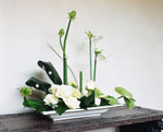 Glazed ceramic platter Glazed ceramic platter